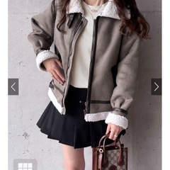 【未使用.未開封】レディースのアウターの画像