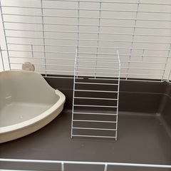 【予定者決定
】小動物ゲージの画像