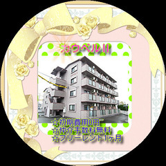 🎀カウベルⅡ403号室🎀初期費用0円～😲✨仲介手数料無料✨敷金・...