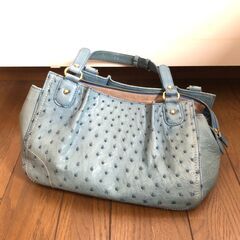オーストリッチ la Deesse CRESCEND 水色…