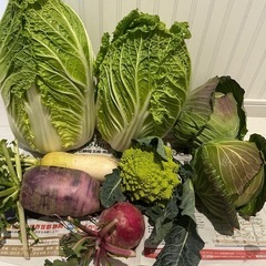 受付終了　野菜1000円セット