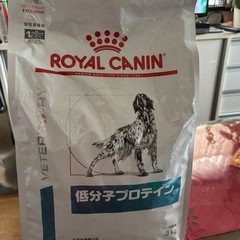 ドッグフード