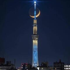 BULL MOON
