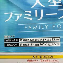 DOSHISHA/ドウシシャ 大型 ファミリープール 248cm DWE22-03 ビニールプール 底面栓付き 水遊び プール遊び おうちプール 子供用プール 家庭用プールの画像
