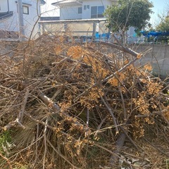 薪欲しい方の画像