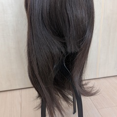 受付終了【数回使用】ウィッグ女性用本体＋ケア用品セット