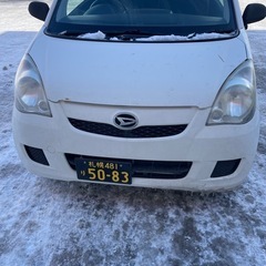 まだまだ元気です。の画像