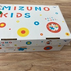 新品 箱入り MIZUNO 靴 19センチの画像