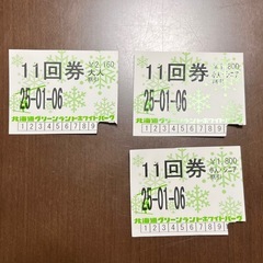北海道グリーンランド ホワイトパークスキー場 リフト回数券