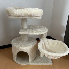 キャットタワー