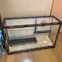 昭和のショーケースの画像