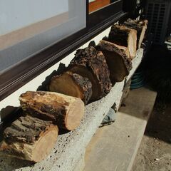 ■(完売) :丸太・栗(クリ)の広葉樹の画像