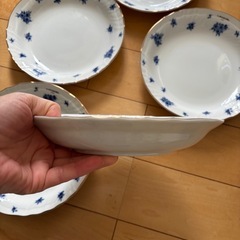 新品カレー、パスタ皿5枚の画像