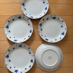 新品カレー、パスタ皿5枚の画像