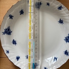 新品カレー、パスタ皿5枚の画像