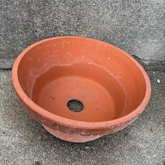   お譲り先が決まりました    植木鉢