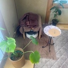 お試し期間エステの画像