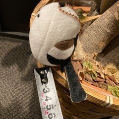 定価1000円　シマエナガ　TST advance キーホルダーの画像