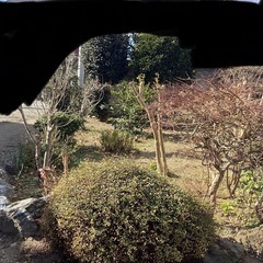 地中調べたい