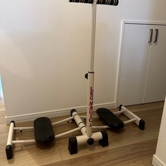 レッグマジックxの画像