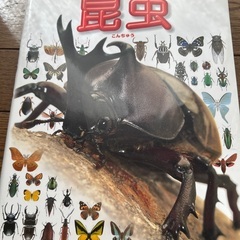 昆虫図鑑