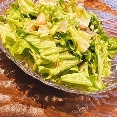 ホームパーティーのカメラマン - その他