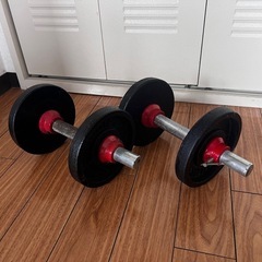 鉄ダンベル２つ