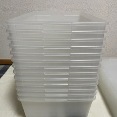 スニーカー　ストレージボックス　シューズボックス　　の画像