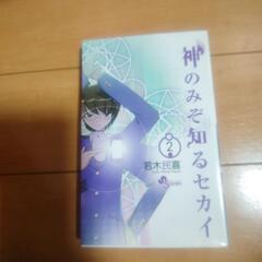 神のみぞ知る世界