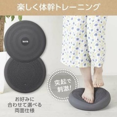 タニタTANITA バランスクッションの画像