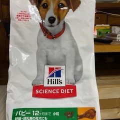 ドッグフード　パピー用