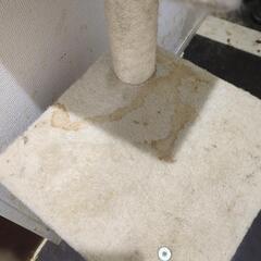 キャットタワーの画像