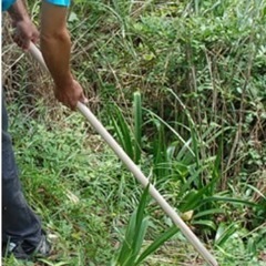 新品下刈鎌、造林鎌の画像