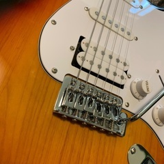 エレキギター PLAYTECH ( プレイテック ) ST250...