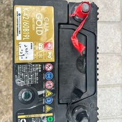 廃棄バッテリー1個の画像