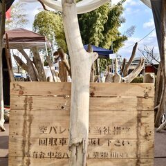 SEASIDEinterior★インテリアディスプレイに流木 C...