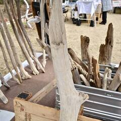 SEASIDEinterior★インテリアディスプレイに流木 Cool driftwood for decorating 144の画像