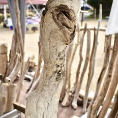 SEASIDEinterior★インテリアディスプレイに流木 Cool driftwood for decorating 142の画像