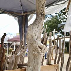SEASIDEinterior★インテリアディスプレイに流木 Cool driftwood for decorating 142の画像