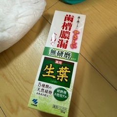 介護 オムツ sサイズ 生葉 1本の画像