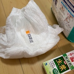 介護 オムツ sサイズ 生葉 1本の画像