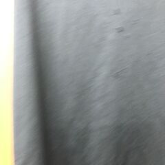 ２月いっぱいで処分します。reverasal ノースリーブシャツの画像
