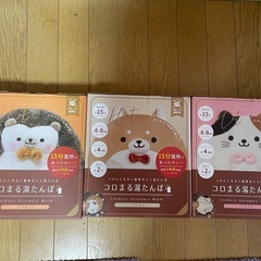 蓄熱式湯たんぽ3個セット