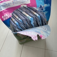 犬　オムツ　男の子マナーウェアSSS 37枚の画像