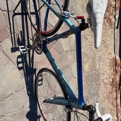 Klein の画像