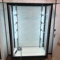 【蛍光灯付きガラスケース、コレクションケース】大人２名必須。