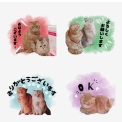 ライン スタンプ作ります☻ - 鹿児島市