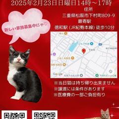 猫の譲渡会