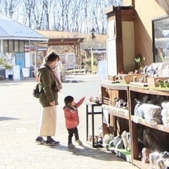 【再投稿】2歳女の子のママです！