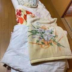 受け渡し者決定！　あげます！　０円です！　布団　毛布　掛け布団　...